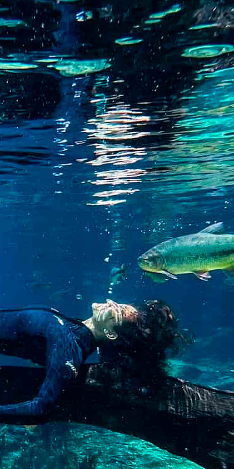 Passeio de Bote Eco park porto da ilha