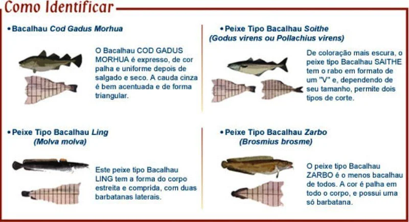 O que é bacalhau tipos-de-bacalhau
